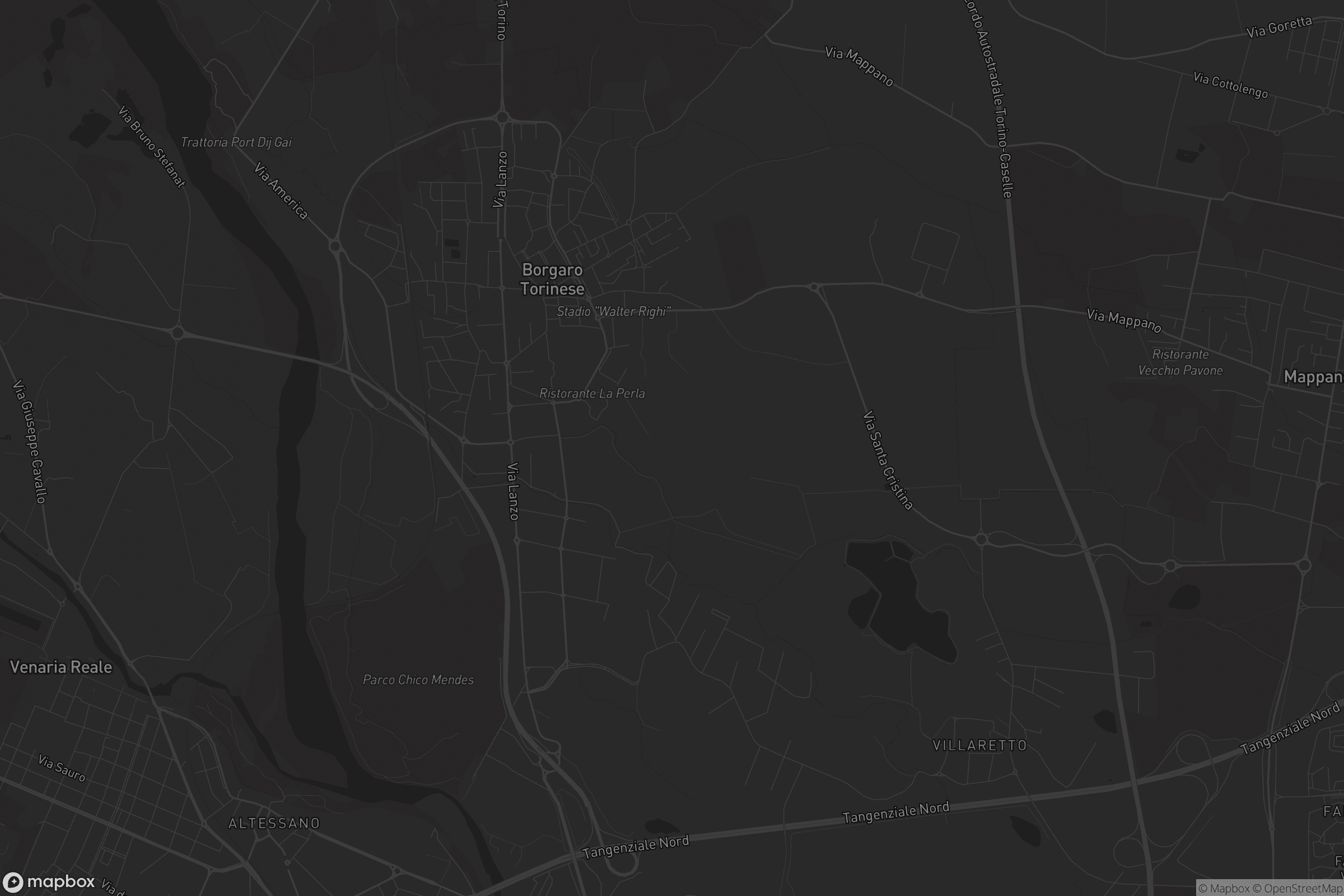 Mappa di Borgaro Torinese