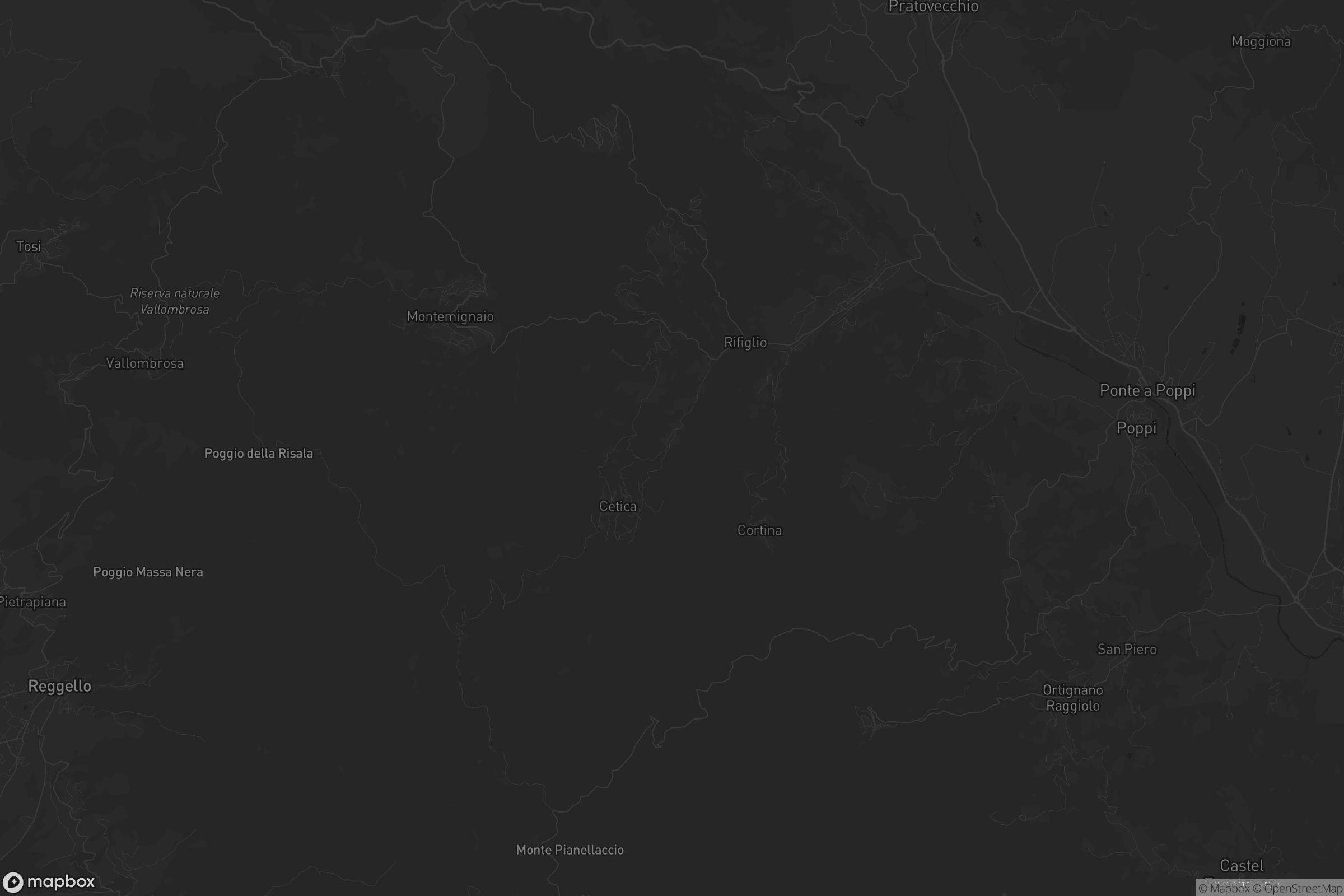 Mappa di Castel San Niccolò