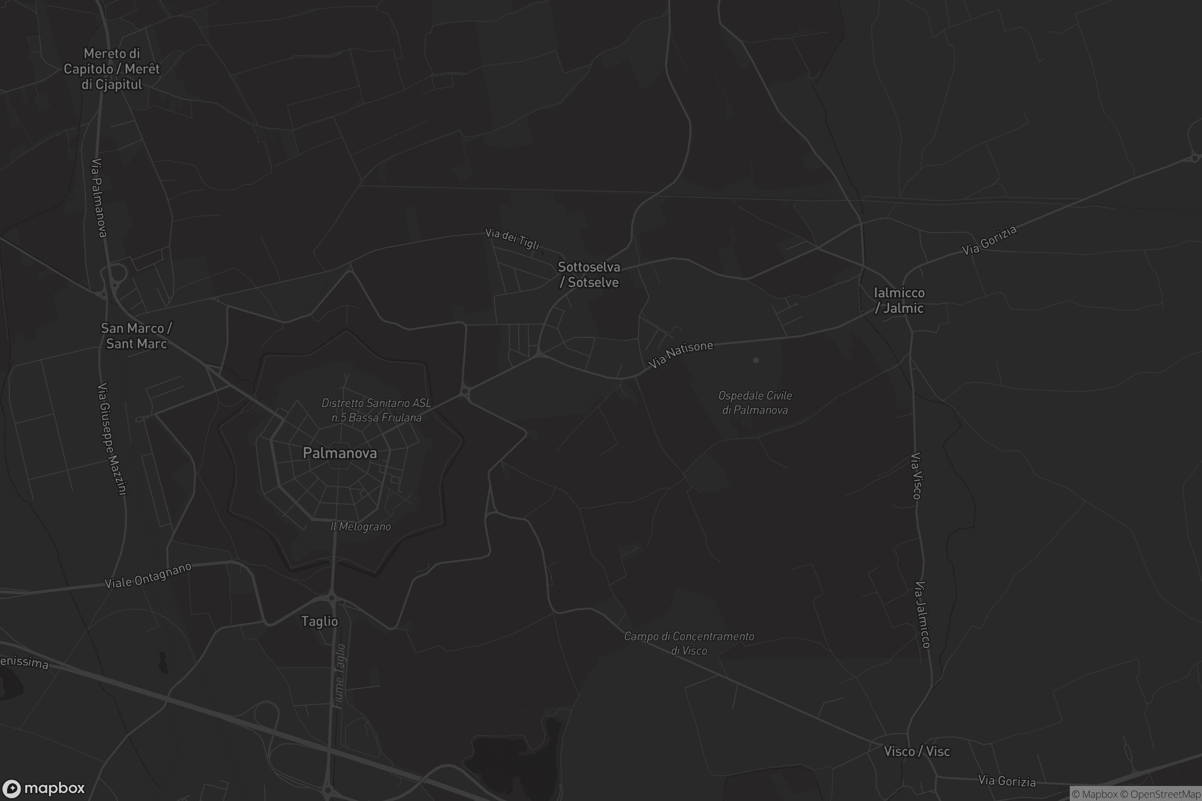 Mappa di Palmanova / Palme