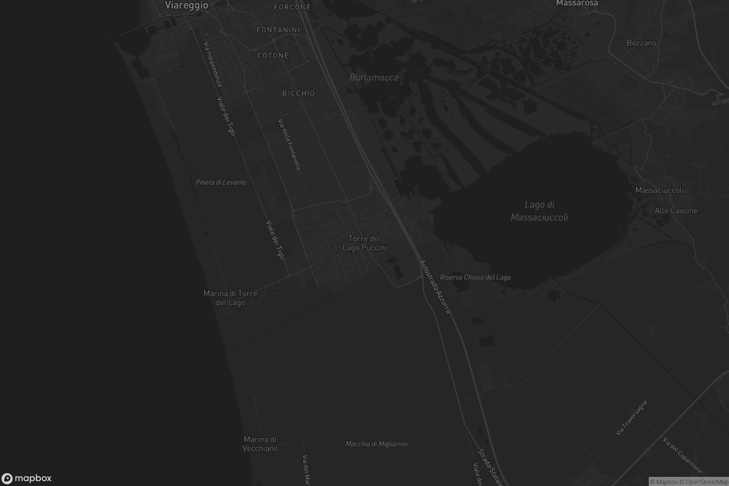 Mappa di Torre del Lago Puccini